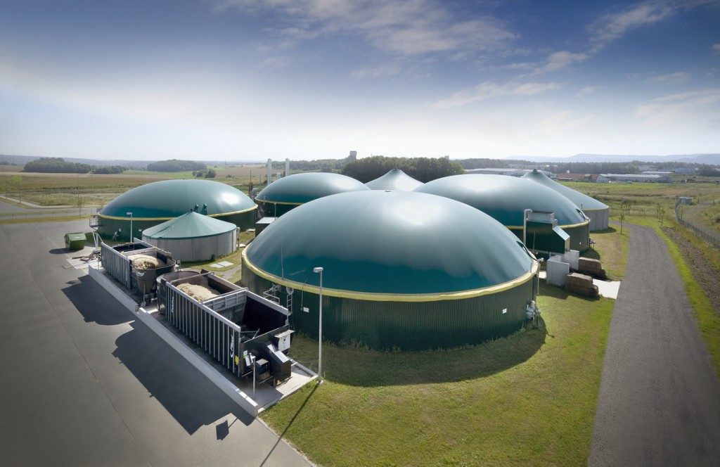 biodigestor biogas 