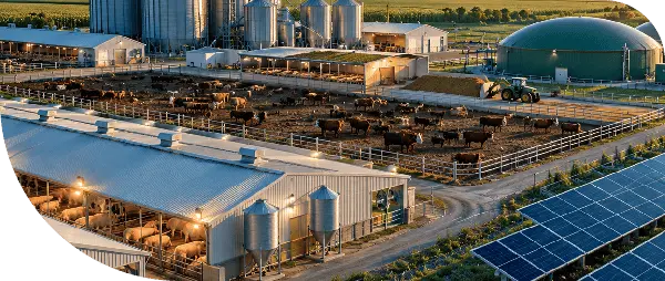 Feedlot, grain silos, a biogas dome, and solar panels on a farm