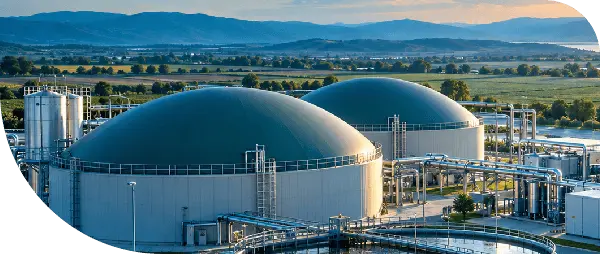 Biogas plant with two digester domes and gas piping